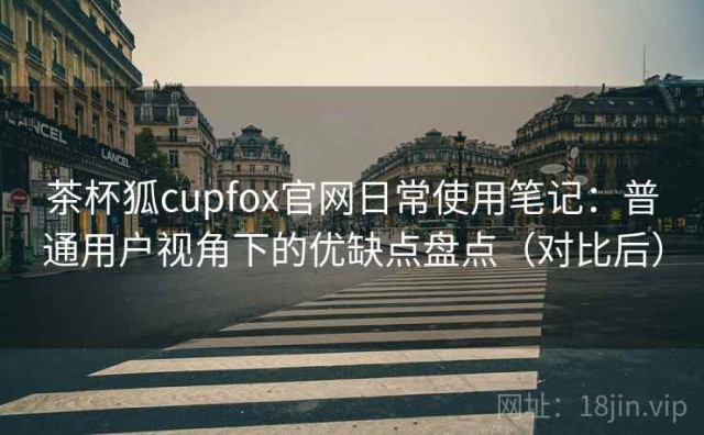 茶杯狐cupfox官网日常使用笔记：普通用户视角下的优缺点盘点（对比后）