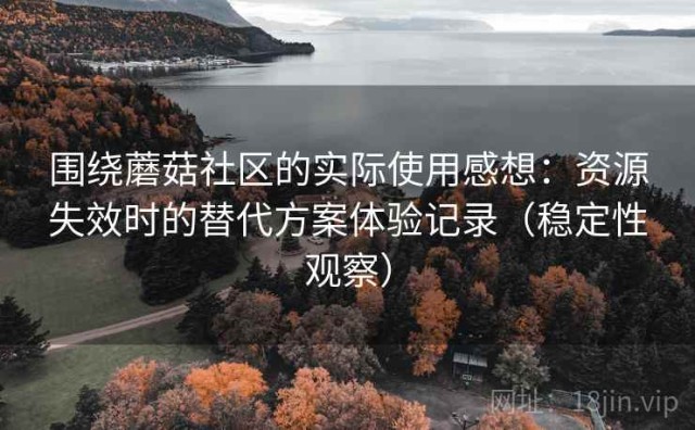 围绕蘑菇社区的实际使用感想：资源失效时的替代方案体验记录（稳定性观察）