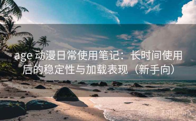 age 动漫日常使用笔记：长时间使用后的稳定性与加载表现（新手向）