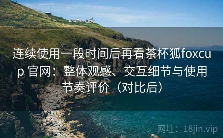 连续使用一段时间后再看茶杯狐foxcup 官网：整体观感、交互细节与使用节奏评价（对比后）