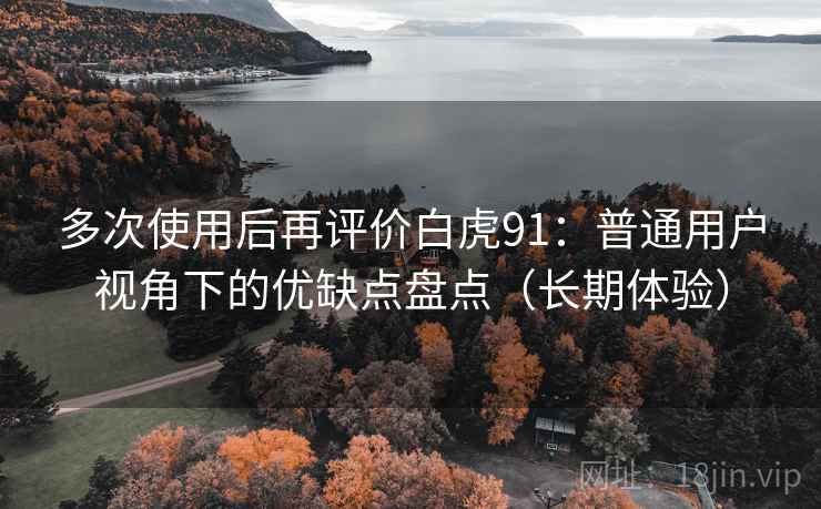 多次使用后再评价白虎91：普通用户视角下的优缺点盘点（长期体验）