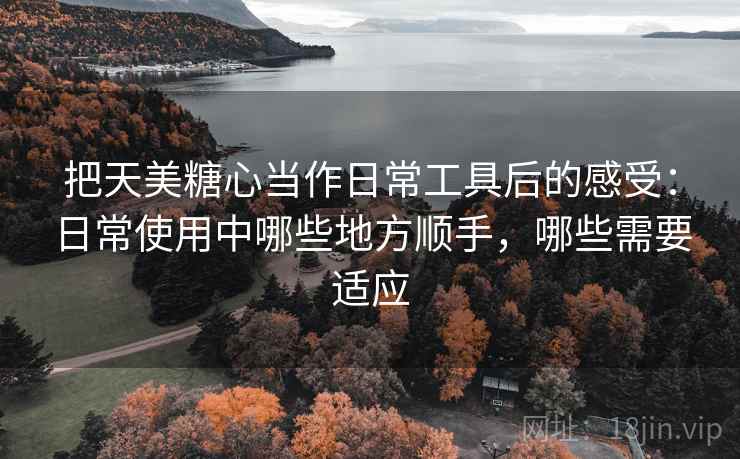 把天美糖心当作日常工具后的感受:日常使用中哪些地方顺手,哪些需要适应 把天美糖心当作日常工具后的感受:日常使用中哪些地方顺手,哪些需要适应