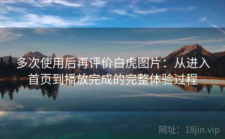 多次使用后再评价白虎图片:从进入首页到播放完成的完整体验过程 多次使用后再评价白虎图片:从进入首页到播放完成的完整体验过程
